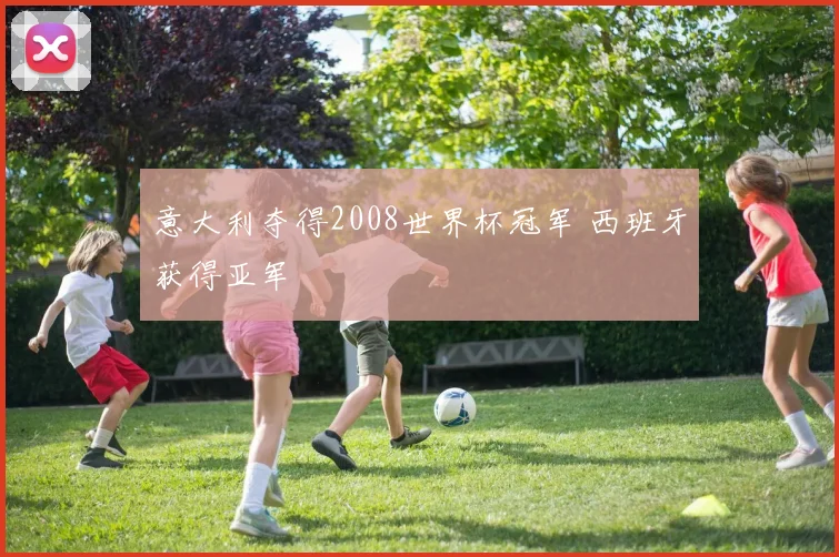 意大利夺得2008世界杯冠军 西班牙获得亚军