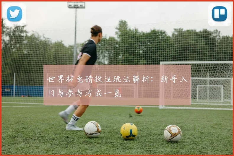 世界杯竞猜投注玩法解析:新手入门与参与方式一览