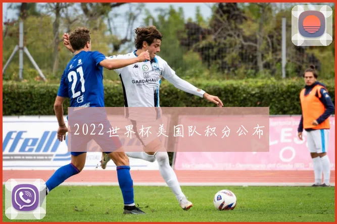 2022世界杯美国队积分公布