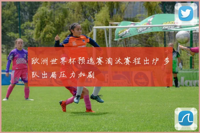 欧洲世界杯预选赛淘汰赛程出炉 多队出局压力加剧